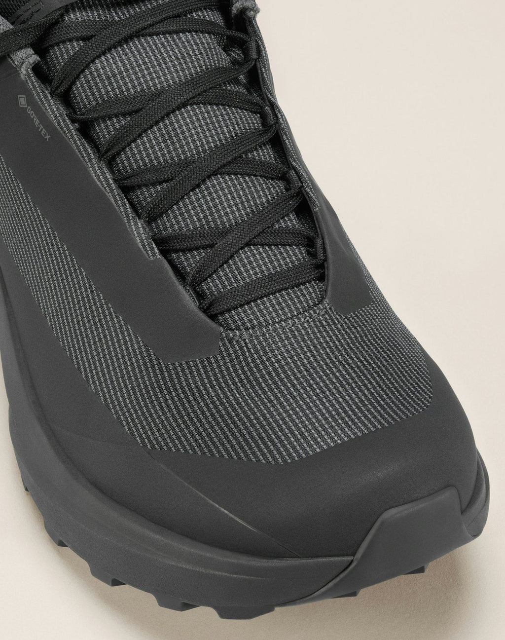 Norvan LD 4 GTX Shoe