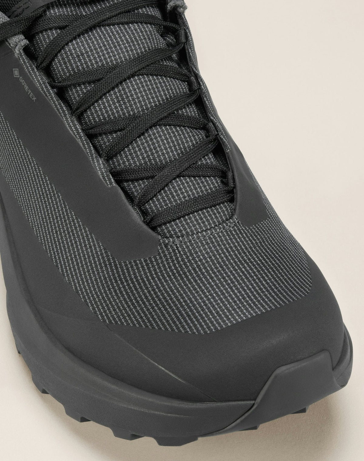 Norvan LD 4 GTX Shoe