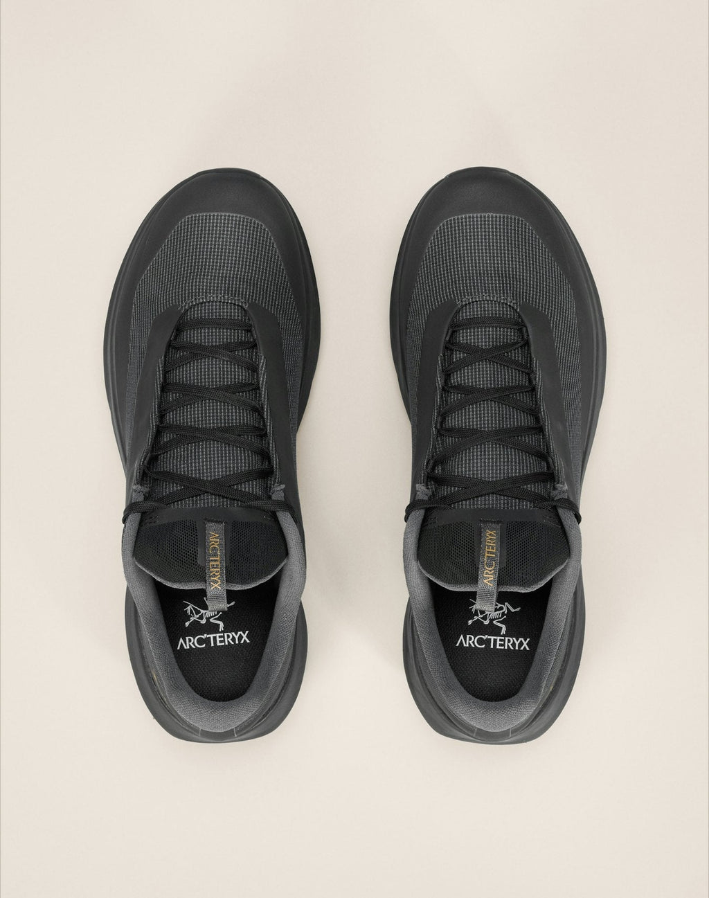 Norvan LD 4 GTX Shoe