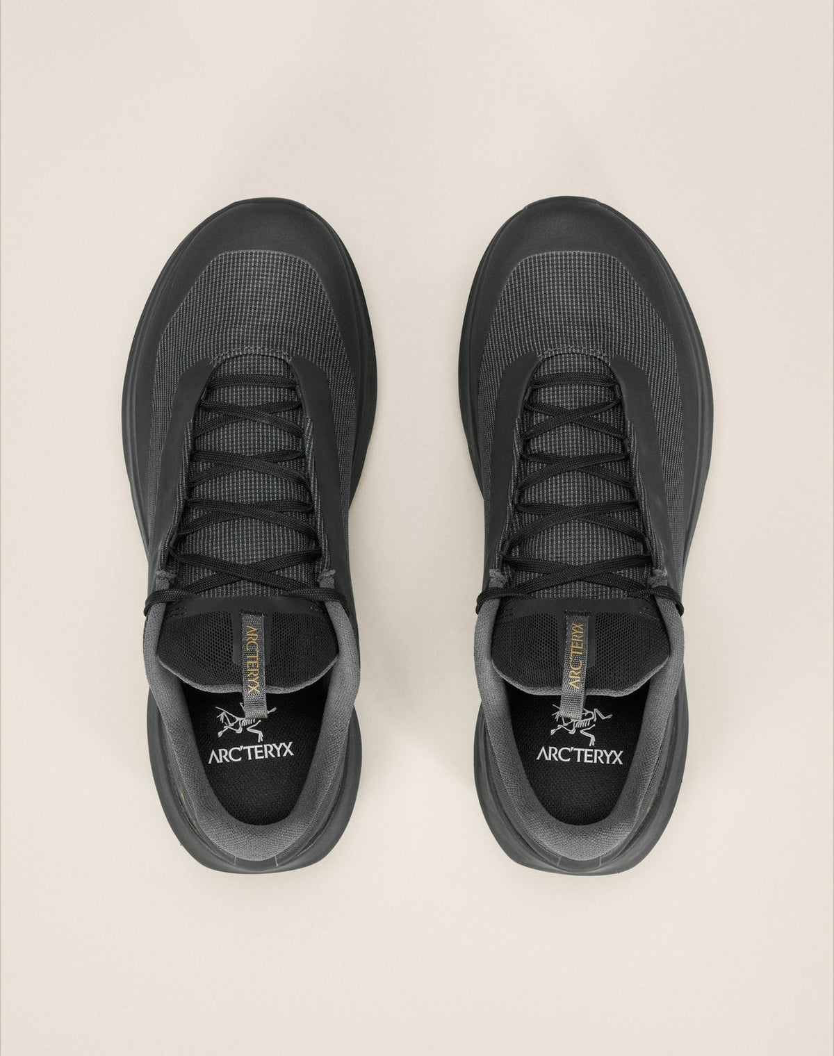 Norvan LD 4 GTX Shoe