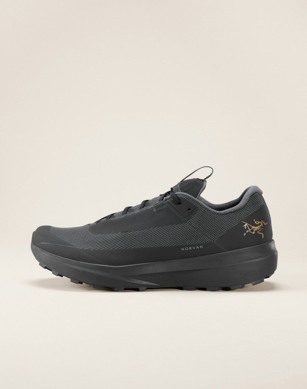 Norvan LD 4 GTX Shoe