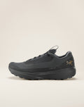 Norvan LD 4 GTX Shoe