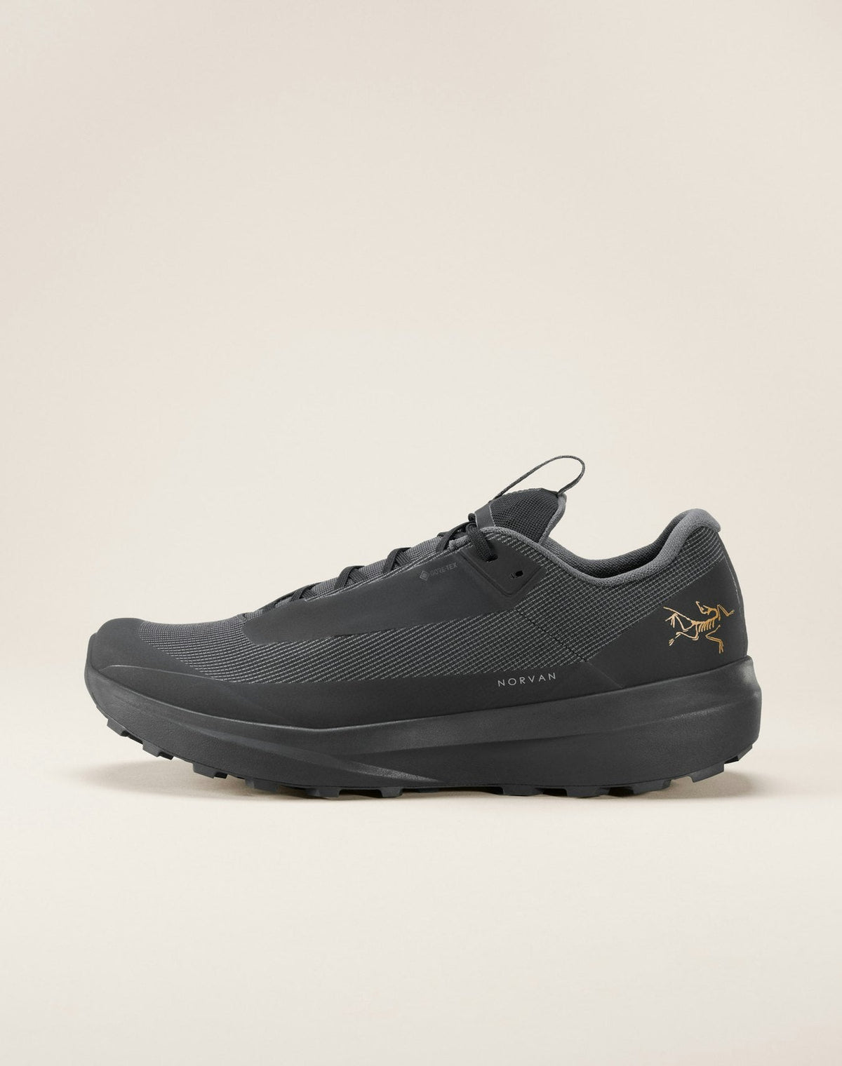 Norvan LD 4 GTX Shoe