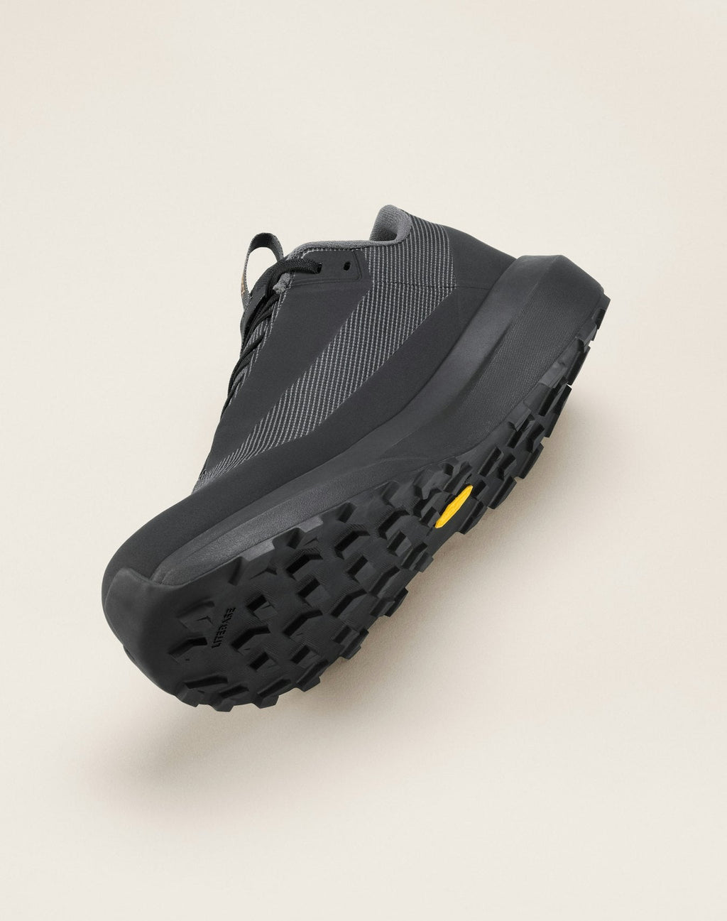 Norvan LD 4 GTX Shoe