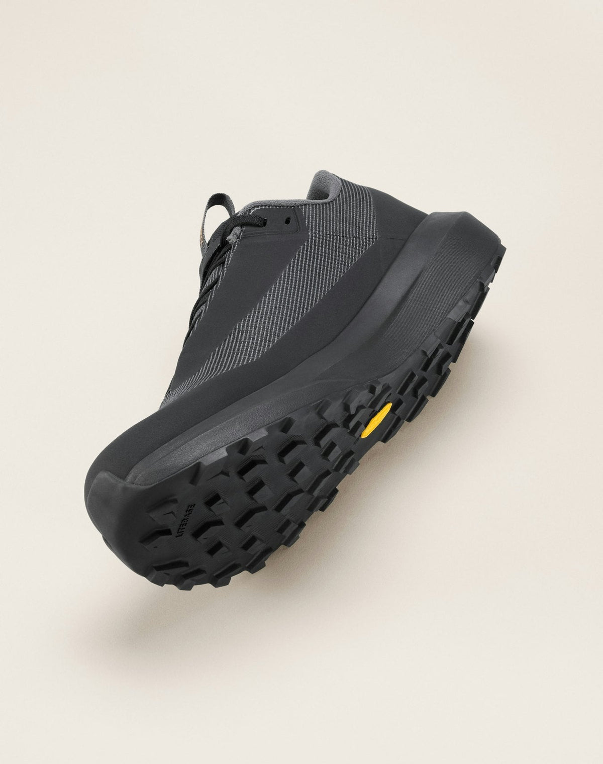 Norvan LD 4 GTX Shoe