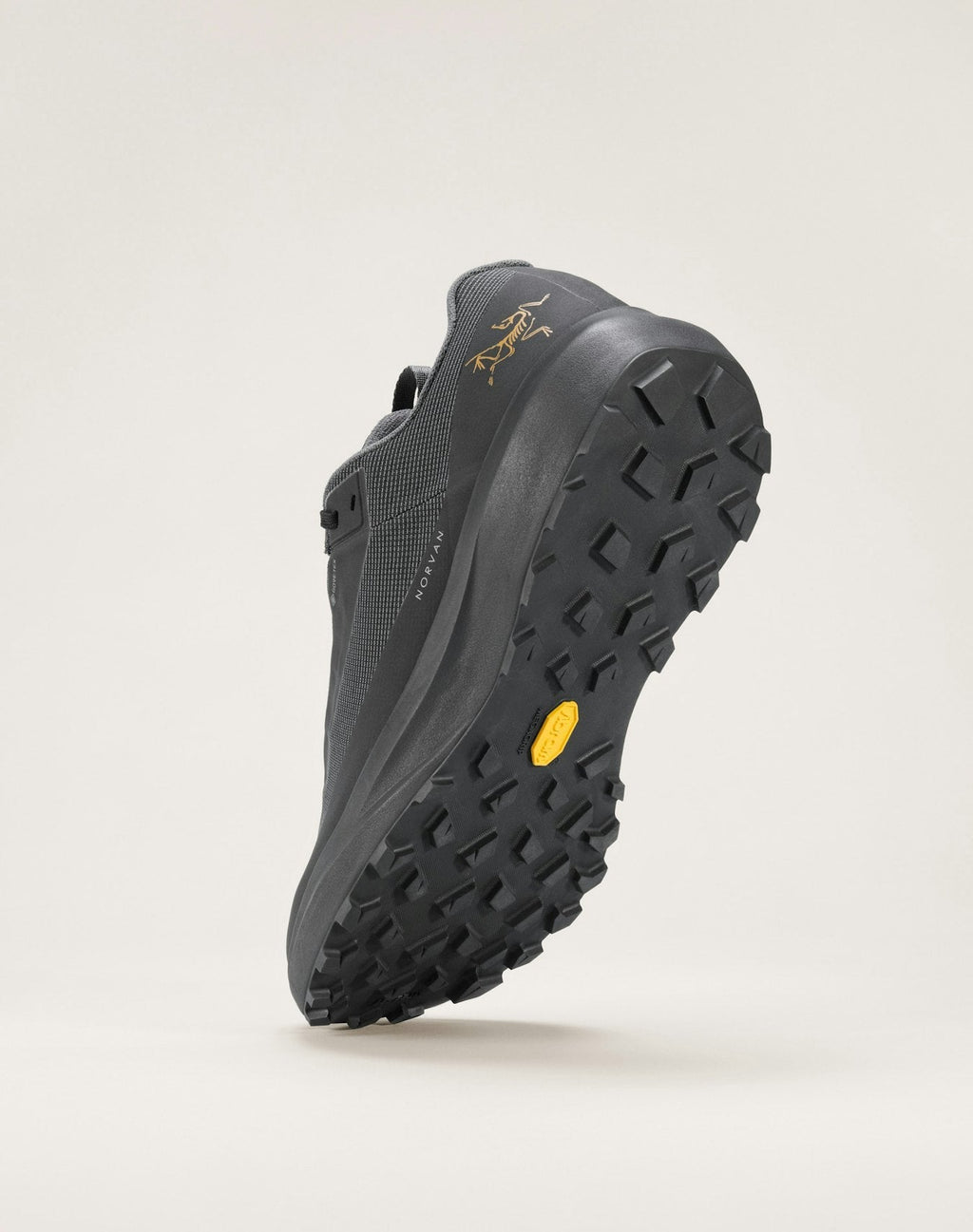 Norvan LD 4 GTX Shoe