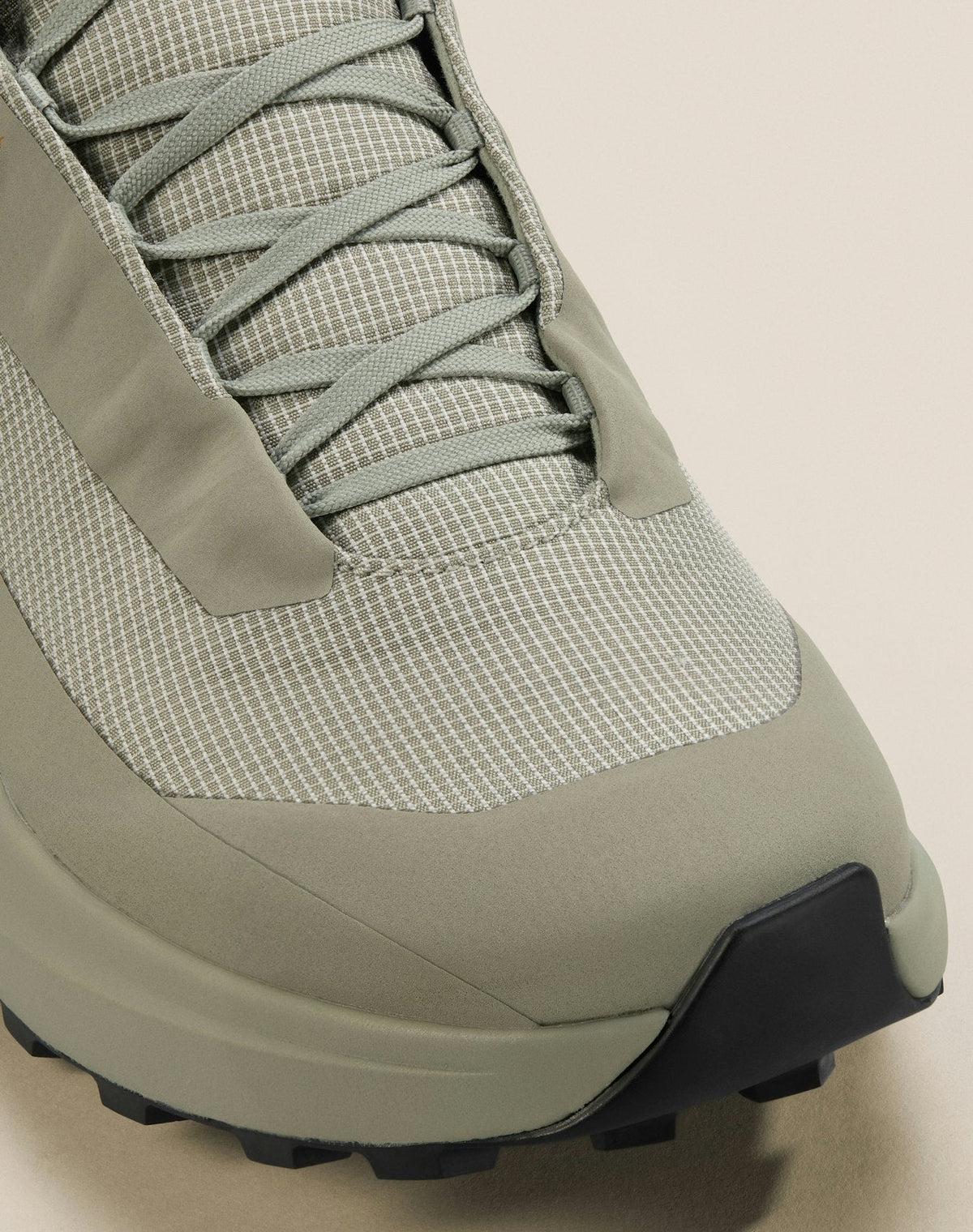 Norvan LD 4 GTX Shoe