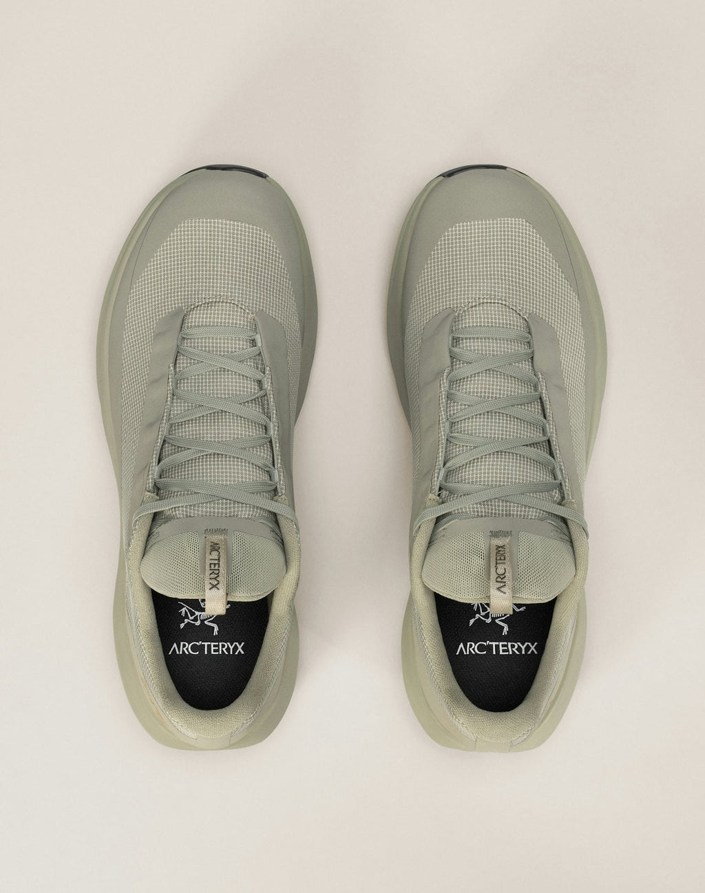 Norvan LD 4 GTX Shoe