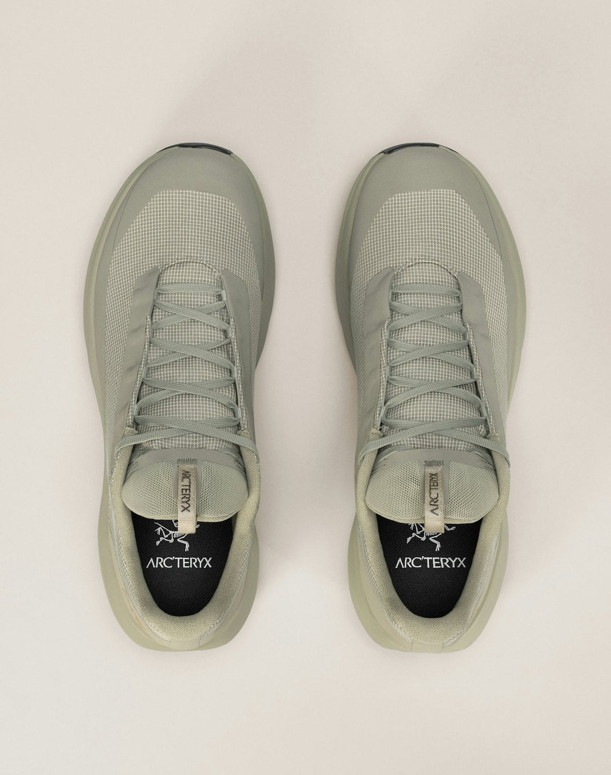 Norvan LD 4 GTX Shoe