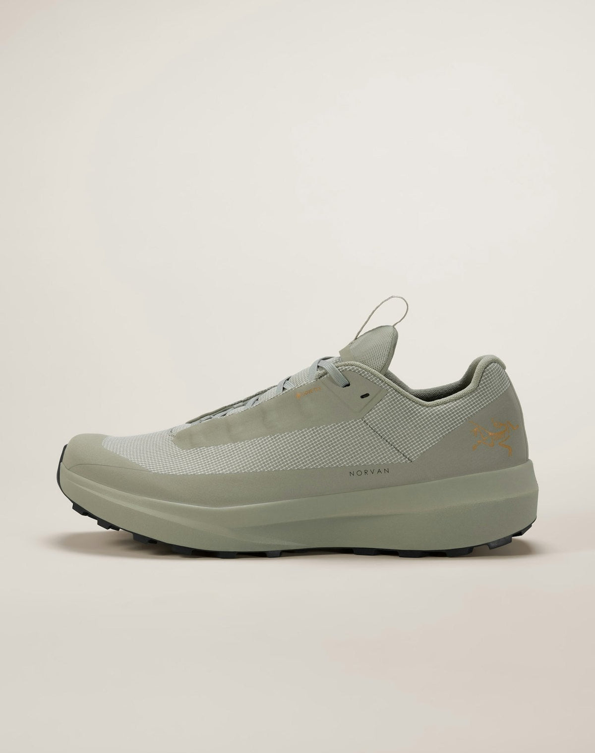Norvan LD 4 GTX Shoe