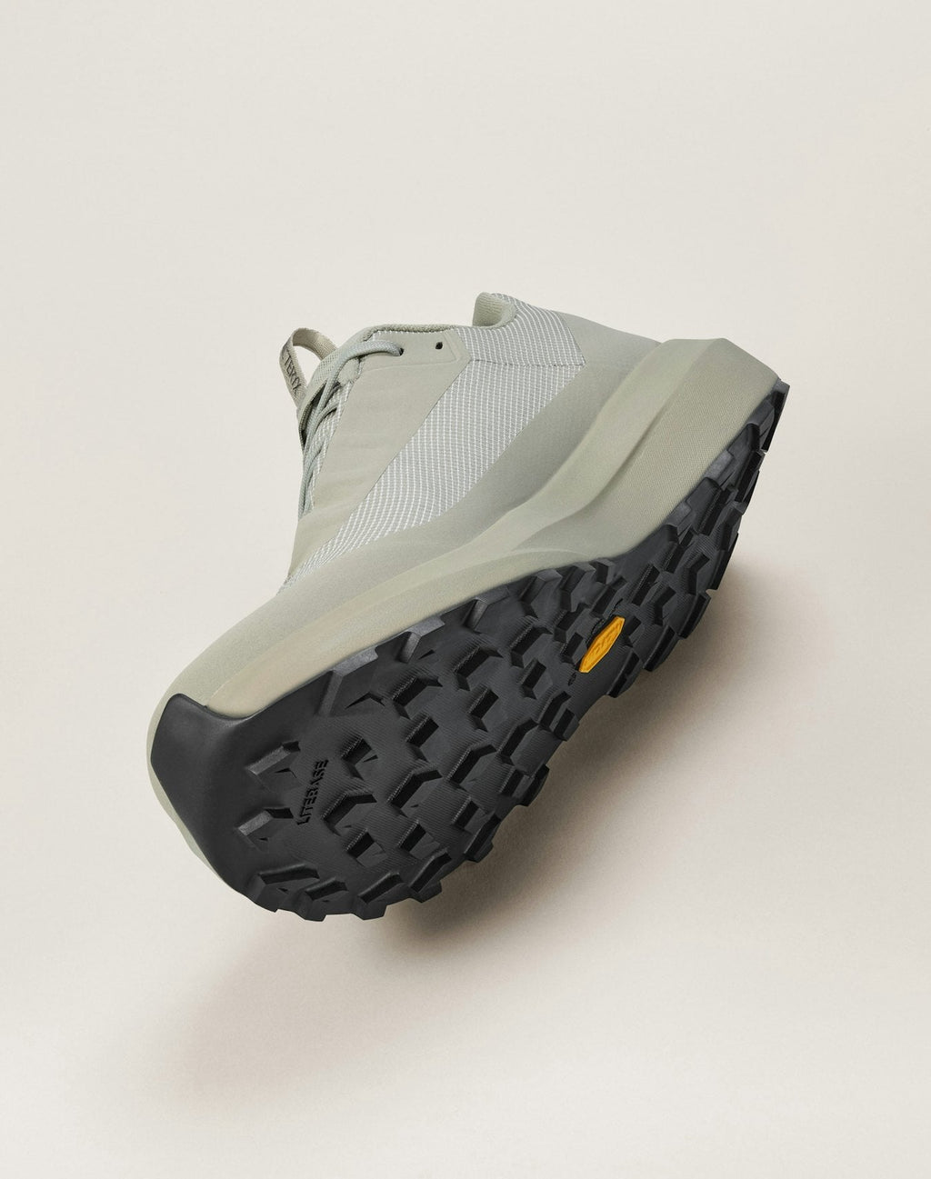 Norvan LD 4 GTX Shoe