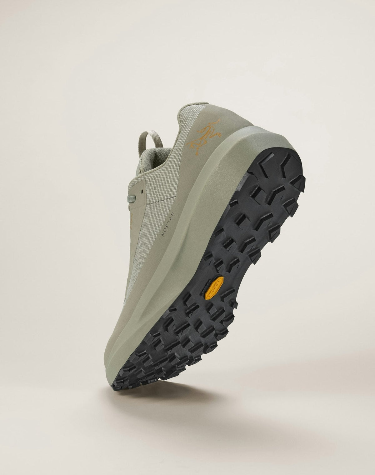 Norvan LD 4 GTX Shoe