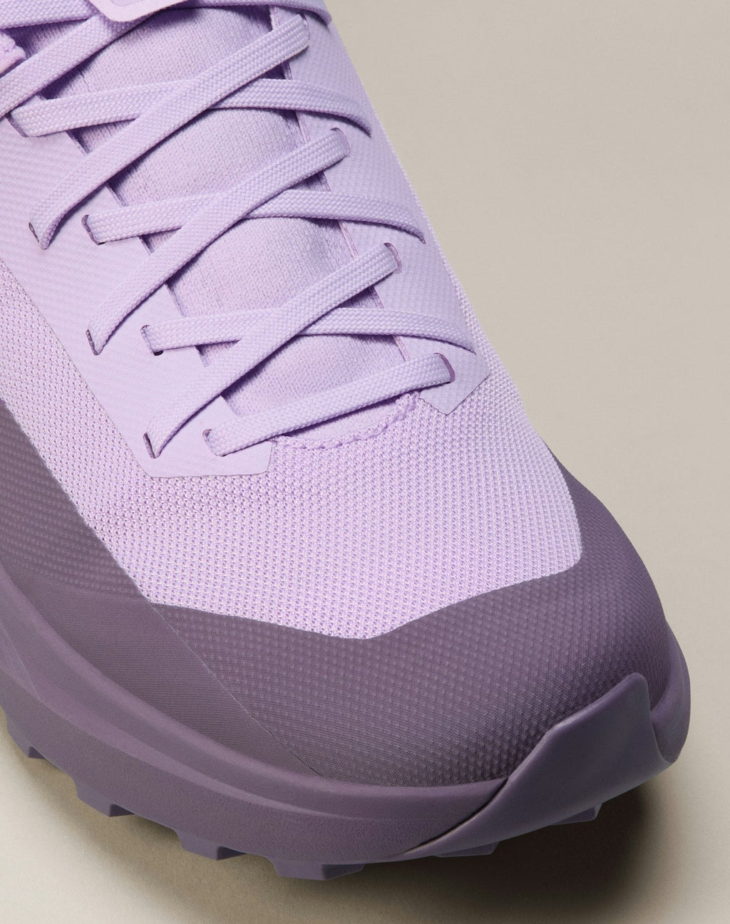 Norvan LD 4 GTX Shoe