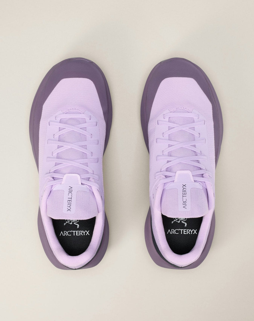 Norvan LD 4 GTX Shoe