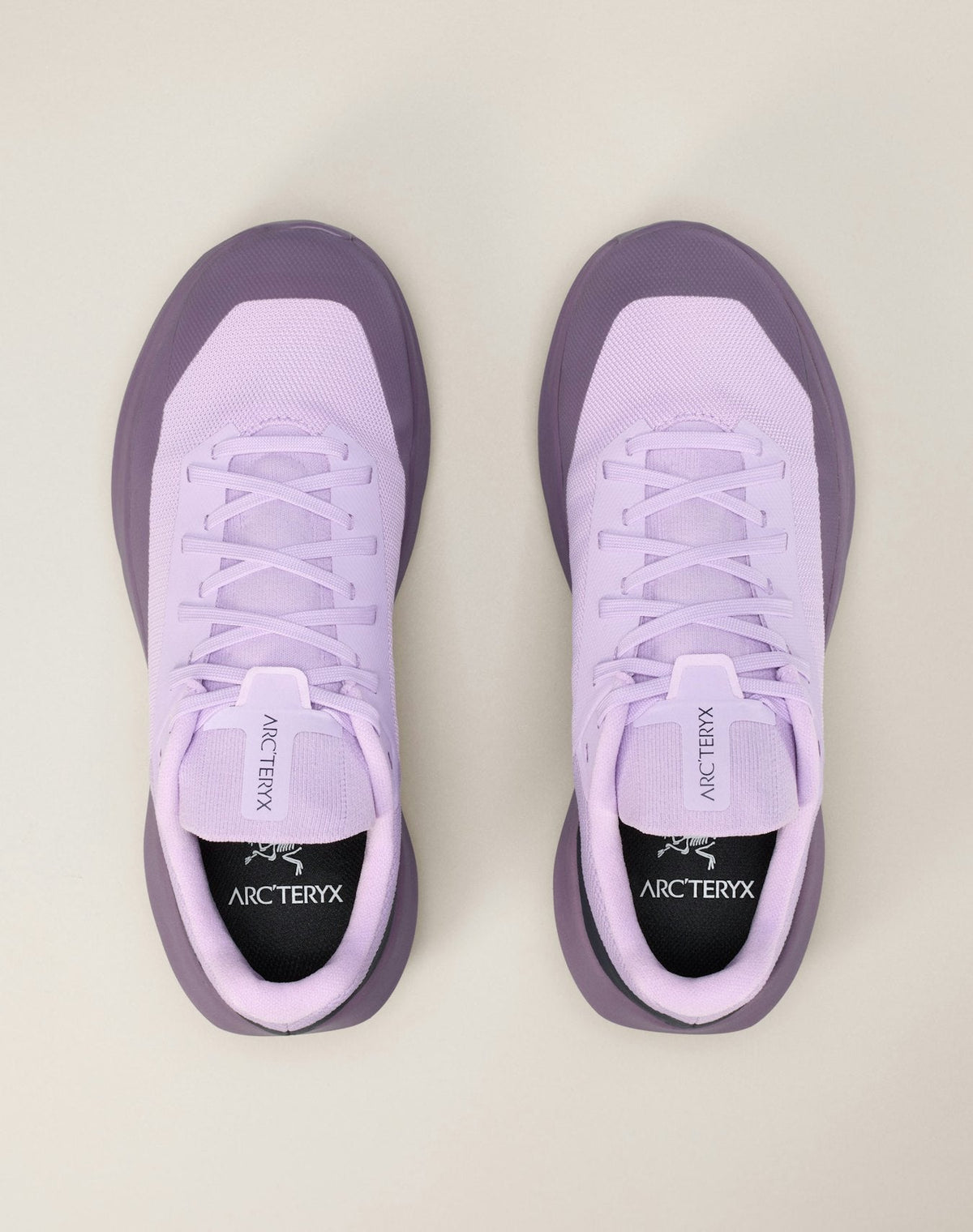 Norvan LD 4 GTX Shoe