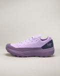 Norvan LD 4 GTX Shoe