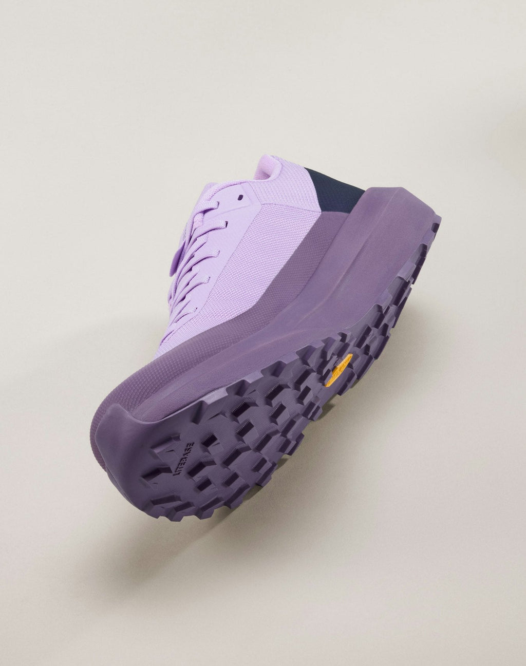 Norvan LD 4 GTX Shoe