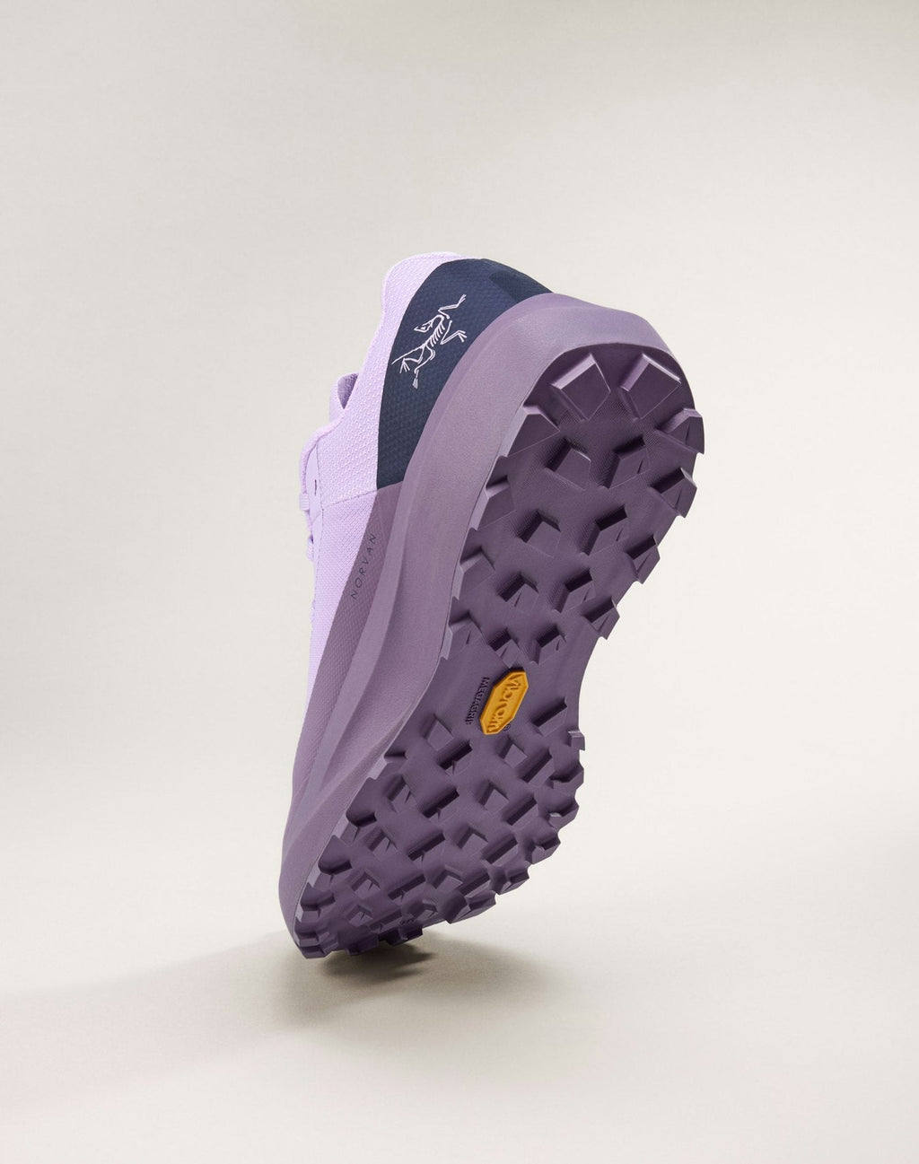 Norvan LD 4 GTX Shoe
