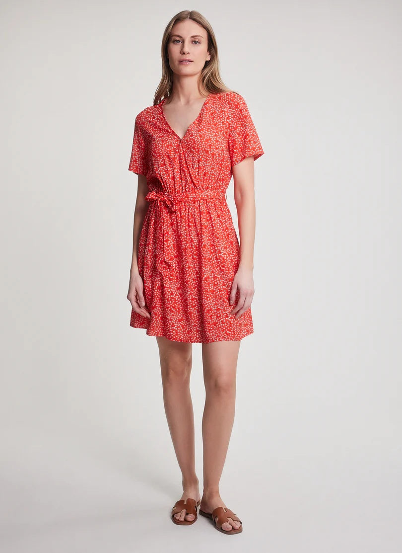 Celeste Dress