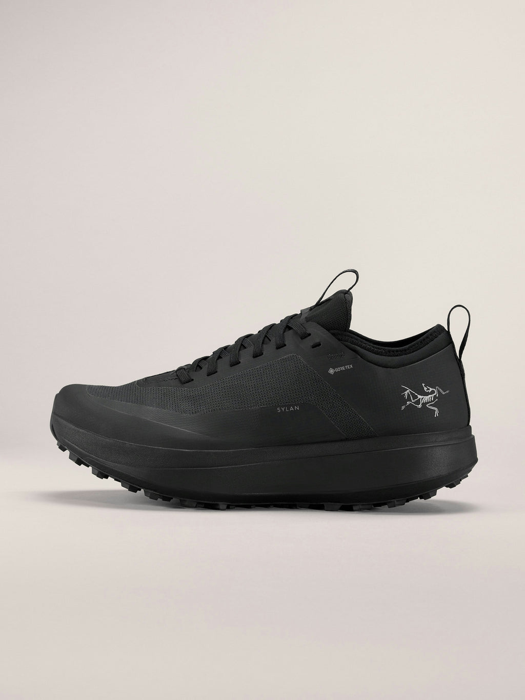 Sylan GTX Men's Shoe