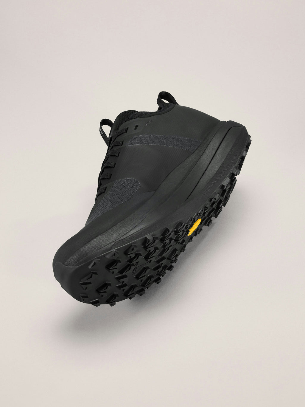 Sylan GTX Men's Shoe