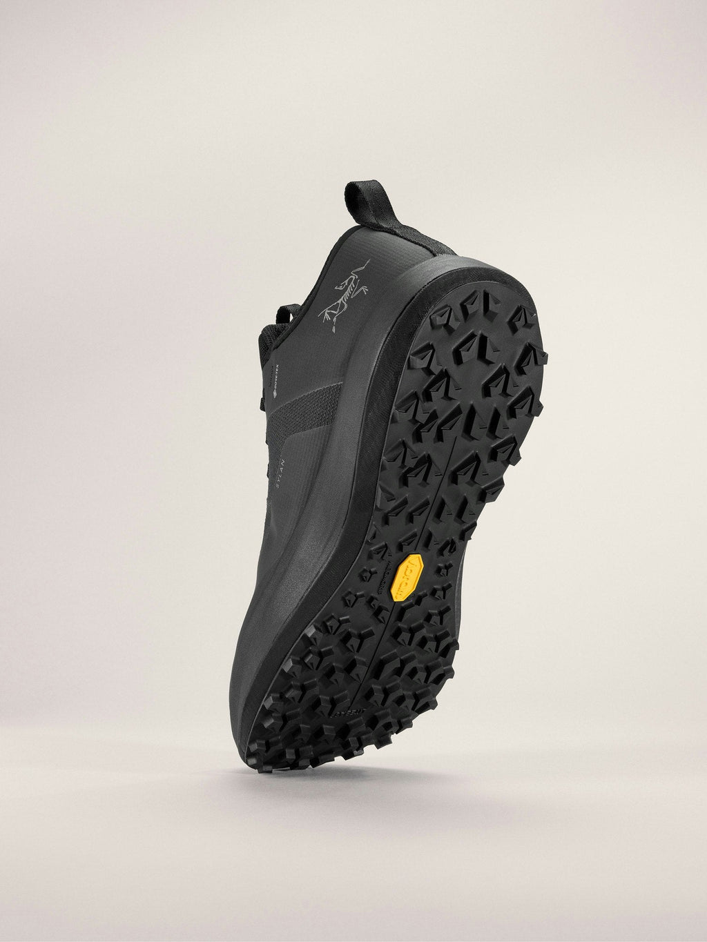 Sylan GTX Men's Shoe