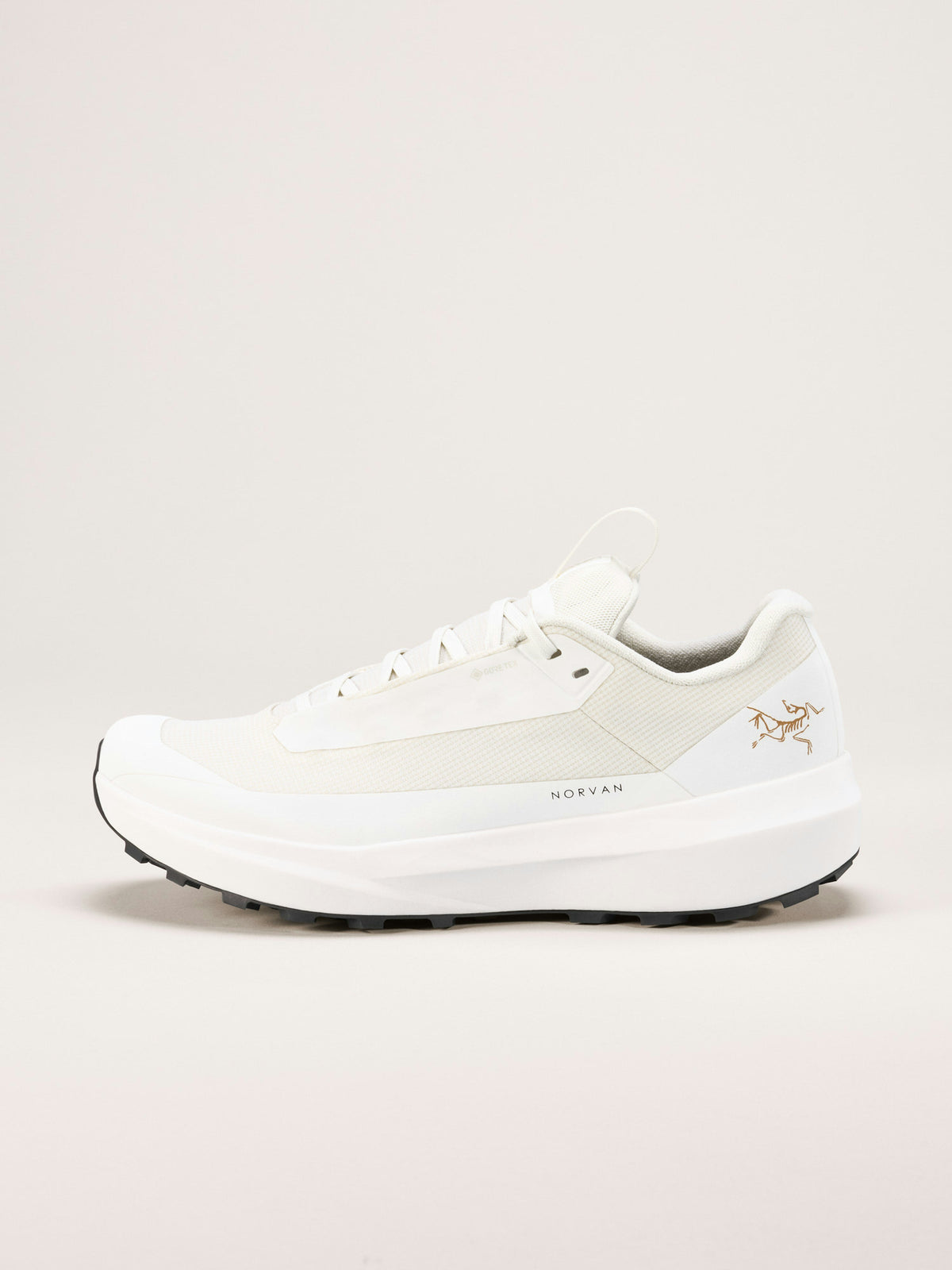 Norvan LD 4 GTX Shoe Women's