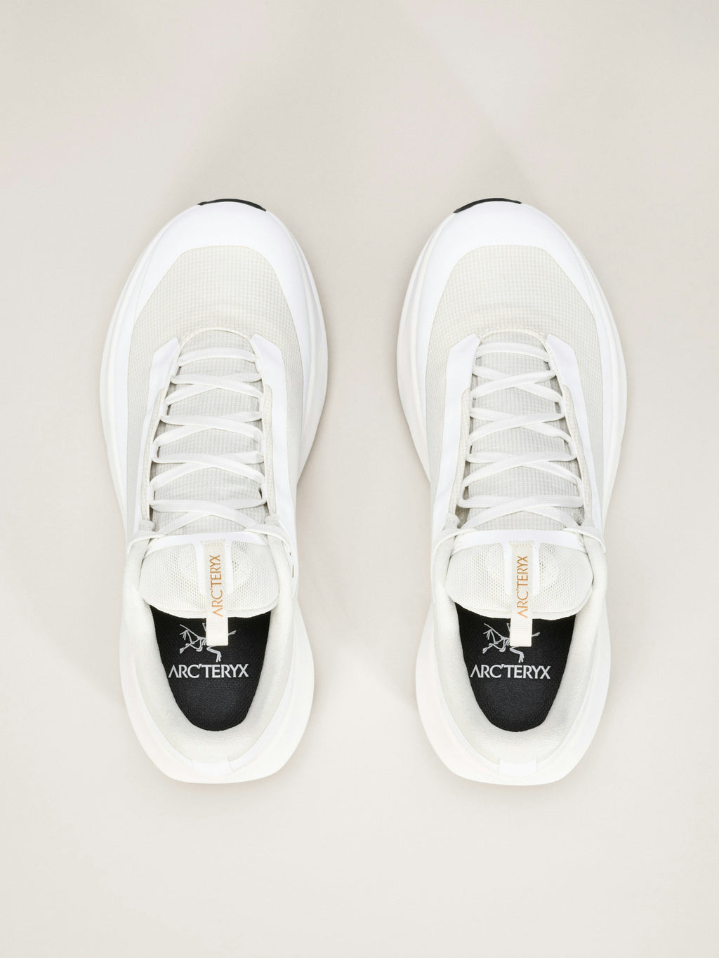 Norvan LD 4 GTX Shoe Women's
