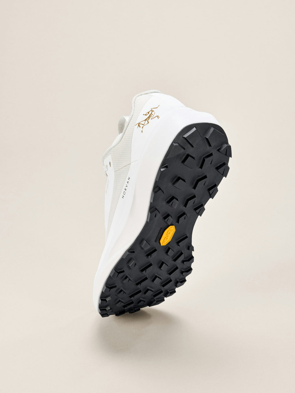 Norvan LD 4 GTX Shoe Women's