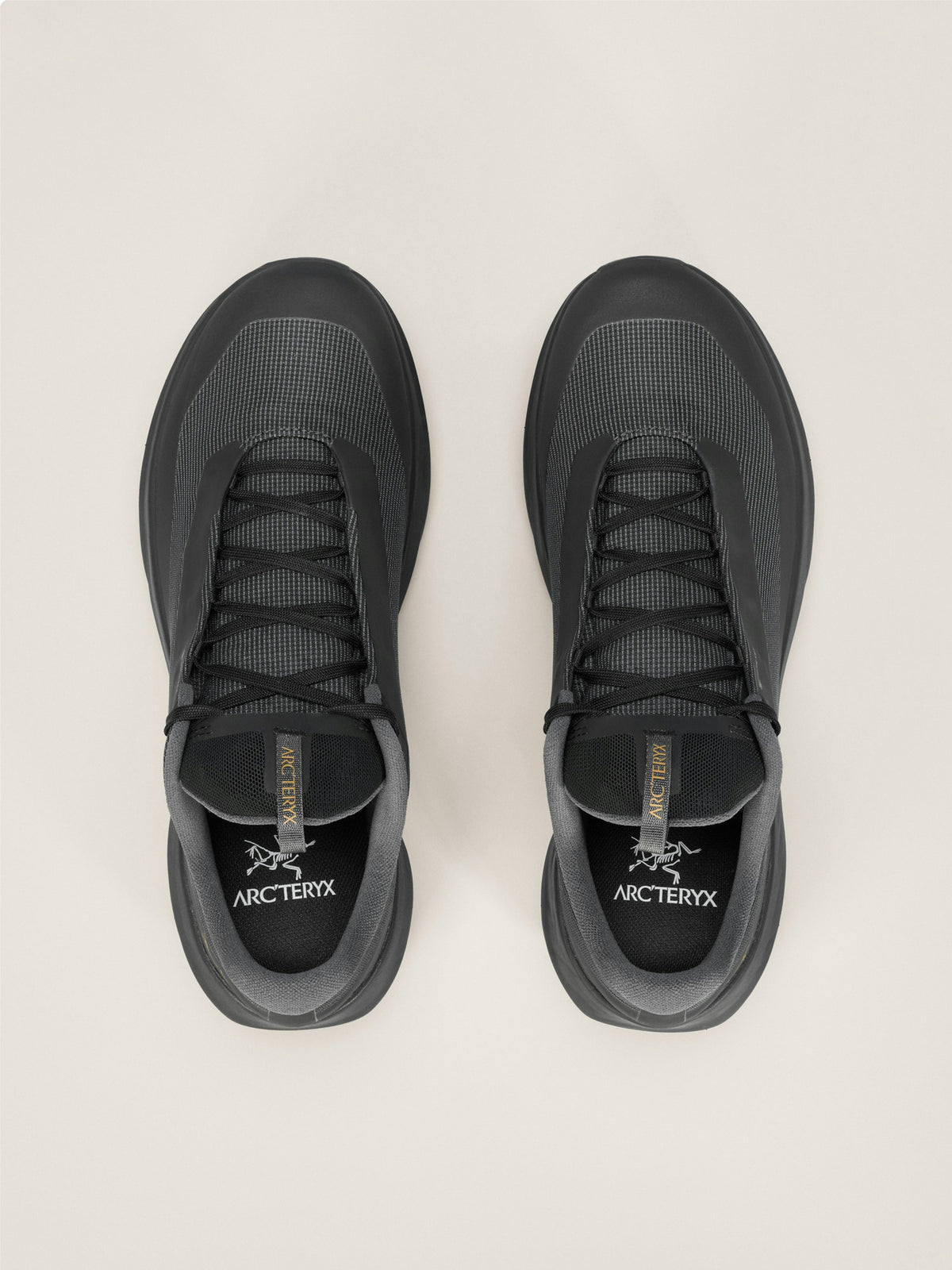 Norvan LD 4 GTX Shoe Women's